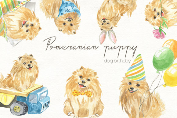 Watercolor Illustration of a Pomeranian: A Strategic Asset for Branding and Design